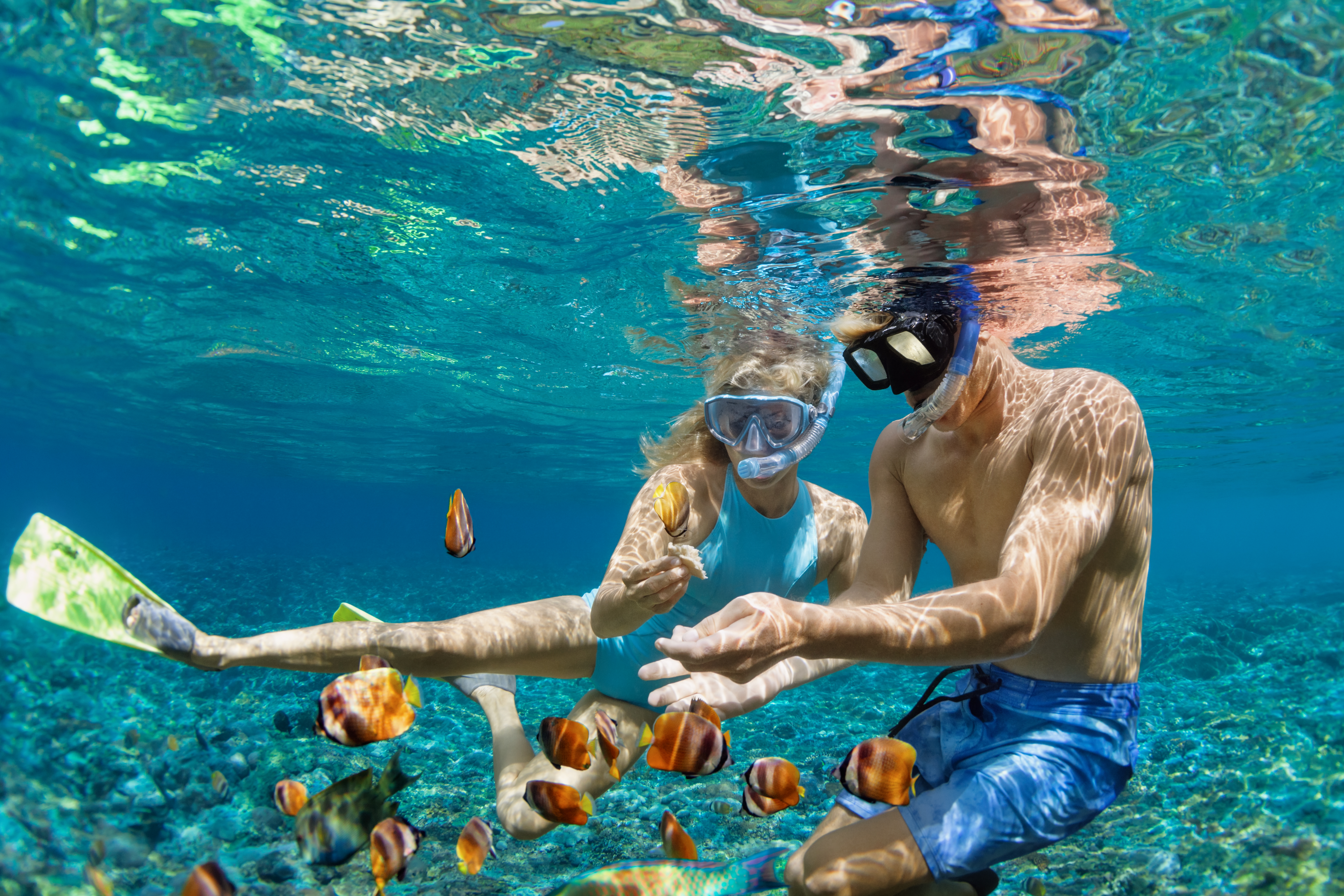 Glückliche Familienferien. Junges Paar mit Schnorchelmaske hält Händchen und taucht mit Fischen im Korallenriff unter Wasser. Reise-Lifestyle, Wassersport-Abenteuer, Schwimmen im Sommerurlaub am Strand.