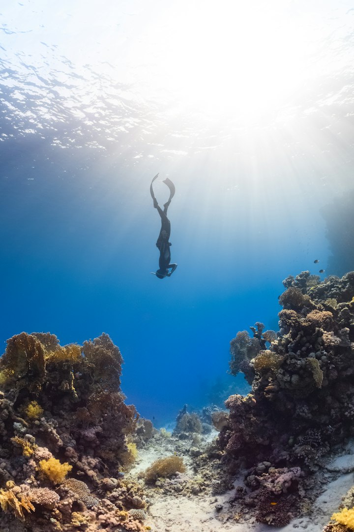 Glücklicher Familienurlaub. Junges Paar mit Schnorchelmaske hält Händchen und taucht mit Fischen in einem Korallenriff-Pool unter Wasser. Reiselifestyle, Wassersport-Abenteuer, Schwimmaktivität im Sommerurlaub am Strand